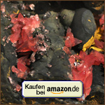 Heilstein Rhodochrosit